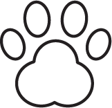 pet friendly hotel